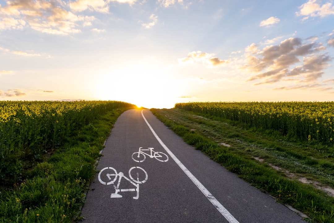 Photo Bicycle lanes